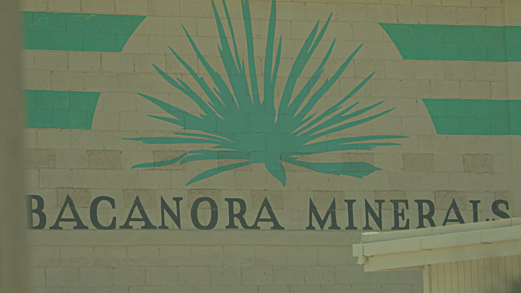 En Sonora dicen que la minera dueña del yacimiento fue bautizada por el hijo de un empresario canadiense que probó el Bacanora, un destilado que se produce en la región.