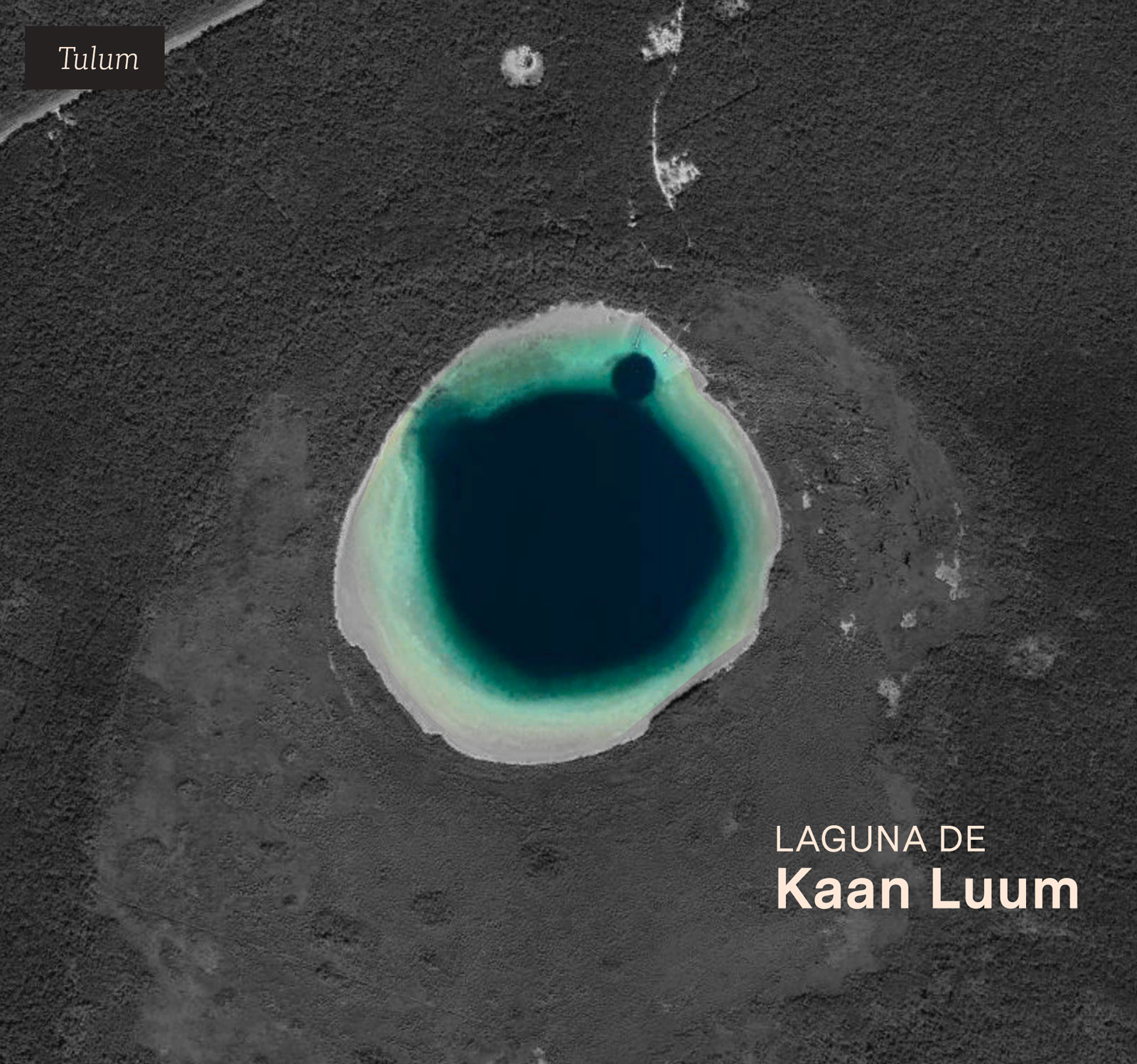 A unos 12 kilómetros de Tulum se ubica la Laguna de Kaan Luum, la cual posee un
                            cenote interior en sus aguas. Aquí se pretende desarrollar un proyecto ecoturístico,
                            cuya
                            sociedad cooperativa tiene al frente al hermano del alcalde